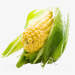 米粒饱满黄色新鲜玉米果蔬高清图片