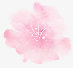 浅粉色花朵唯美素材