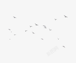 飞翔的蓝色小鸟燕子大雁小鸟雄鹰春天飞翔高清图片