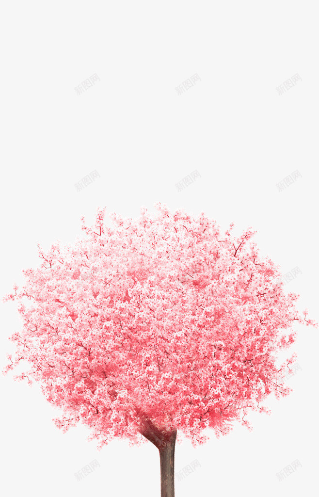 樱花树樱花树png免抠素材_88icon https://88icon.com 一树花开 唯美 樱花树 樱花树模型 水彩 清晰 粉红色