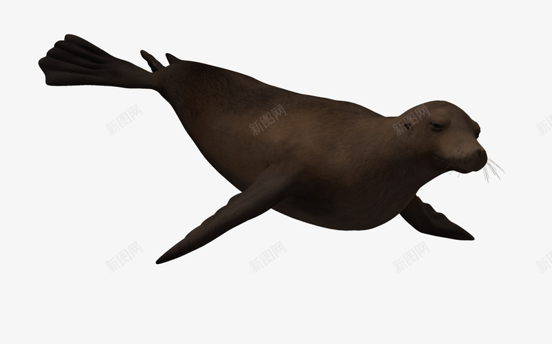 卡通鱼蓝色海洋png免抠素材_88icon https://88icon.com 3D 3d动物 3d卡通 海底动物 海洋动物 鱼类