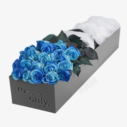 蓝色妖姬玫瑰礼盒素材