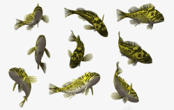 3D3d卡通鱼素材