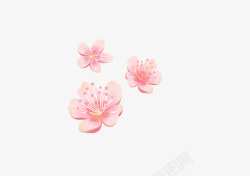 春天粉色粉色樱花黛粉的花瓣春天的樱花海高清图片