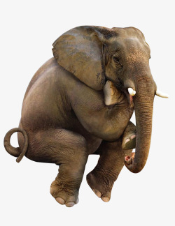 动物折纸摄影摄影动物世界草原上的大象高清图片