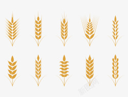 麦子简约扁平金色麦穗图案高清图片