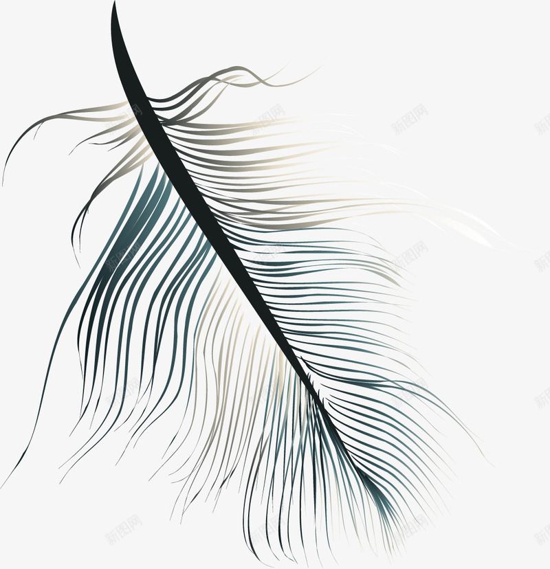羽毛装饰png免抠素材_88icon https://88icon.com 动物 唯美羽毛免抠png 彩色羽毛 简笔画 羽毛 羽毛PNG 羽毛底纹 羽毛飘落 高清羽毛png 鸟 鸟类 鸟类羽毛