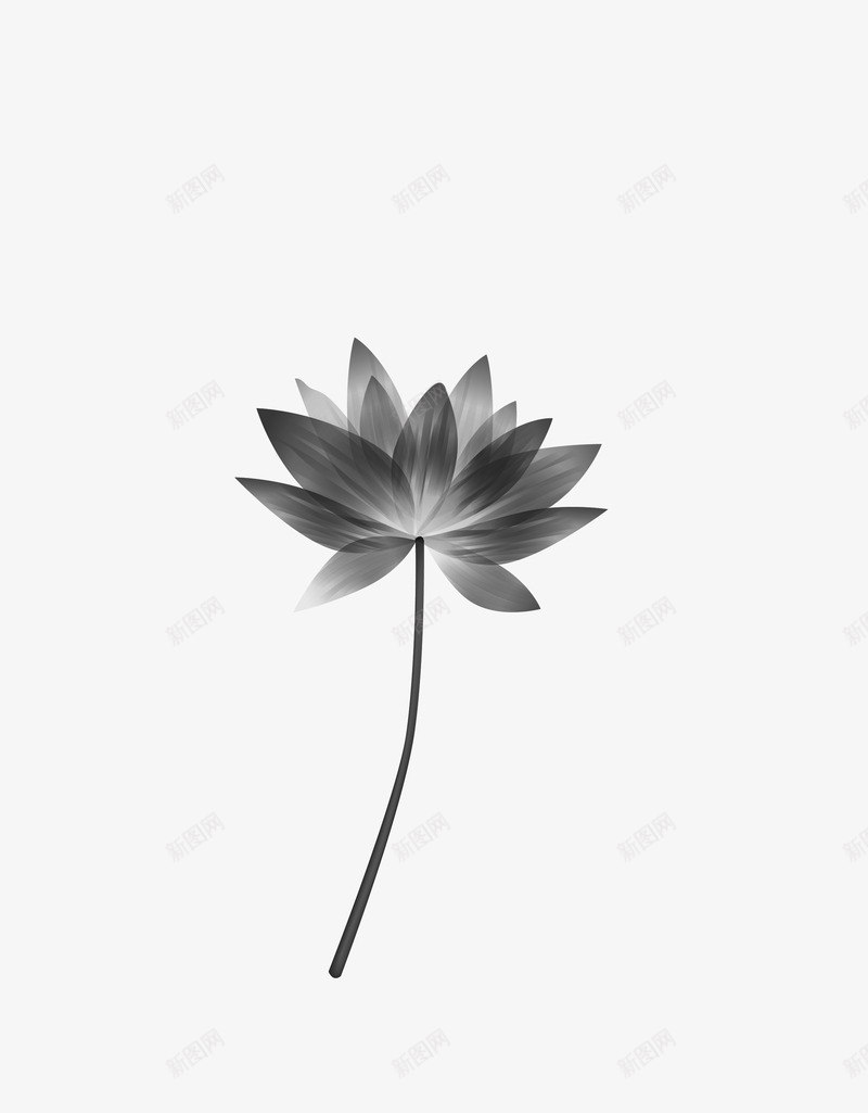 绘画植物png免抠素材_88icon https://88icon.com 水墨画 绘画植物 荷叶 荷花 黑白