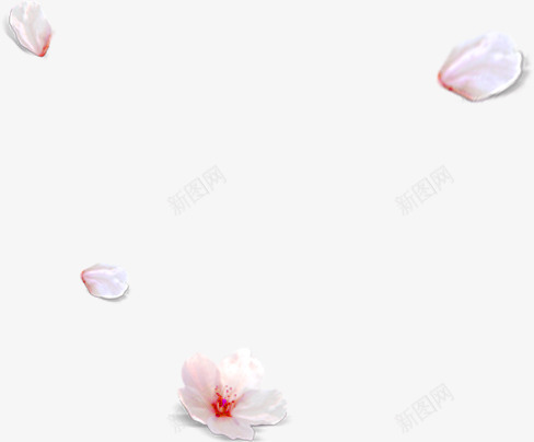 樱花花朵花瓣漂浮装饰png免抠素材_88icon https://88icon.com 樱花 漂浮 花朵 花瓣 装饰