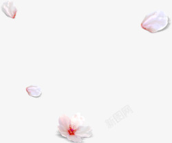 粉色桃花花瓣海报素材