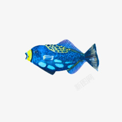 蓝色水彩手绘海洋生物鱼类图案素材