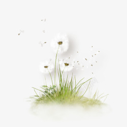 春天花朵草地草坪蒲公英0高清图片