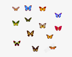 七彩美丽的蝴蝶素材