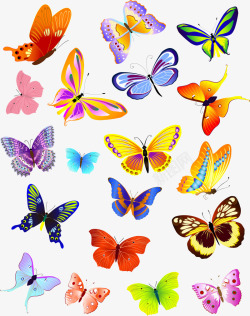 绚丽火腿纹背景多款漂亮的蝴蝶矢量图高清图片