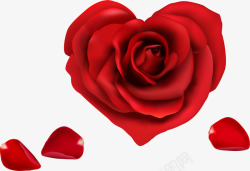 玫瑰爱心爱心红玫瑰花高清图片