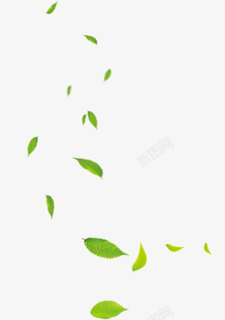 惠春上新几片漂浮的绿色叶子高清图片