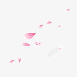 一朵粉色月季花粉色花瓣漂浮图案高清图片