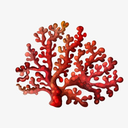 红色珊瑚海底生物素材