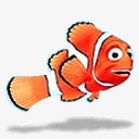 小丑海底总动员小丑鱼图标图标