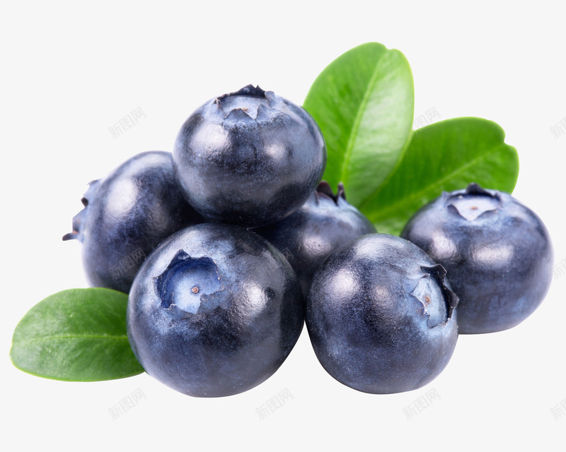 新鲜的水果蓝莓png免抠素材_88icon https://88icon.com 夏日美食 简约 紫色 装饰 鲜艳