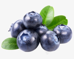 紫色新鲜的水果蓝莓高清图片