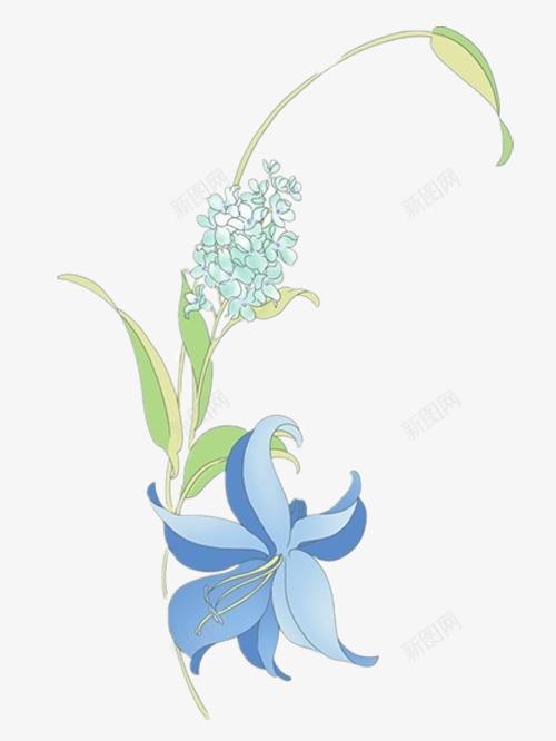 清新的风信子花手绘png免抠素材_88icon https://88icon.com 好看的风信子 小清新 漂亮的风信子 风信子
