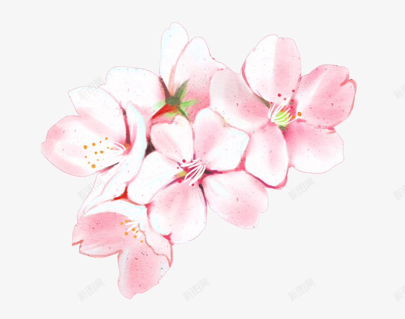 粉色樱花花朵png免抠素材_88icon https://88icon.com 一枝樱花 卡通插画 手绘春分插画 漂亮的女孩 粉色的鲜花 绿色的叶子 躺着的女孩