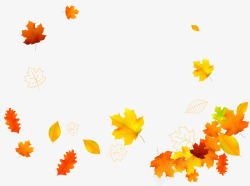 飘落秋叶黄色枫叶漂浮高清图片