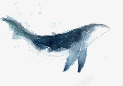 海洋元素免抠水墨鲸鱼矢量图高清图片