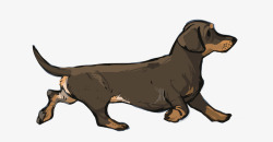 棕色的毛发奔跑的小狗高清图片