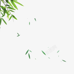 竹子背景素材飘落的绿色竹叶高清图片