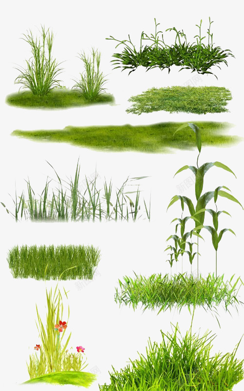 花草绿叶植物png免抠素材_88icon https://88icon.com 植物 绿色 花 花草 草