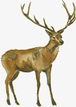 手绘棕色复古水彩小鹿素材