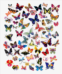 绚丽多彩蝴蝶几十种漂亮花蝴蝶矢量图高清图片