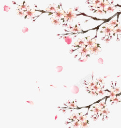 飞杨的花瓣桃花高清图片