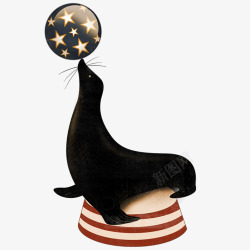 海底表演海狮高清图片