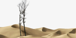 沙漠孤单枯树素材