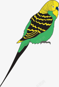 黄绿色卡通风格鹦鹉矢量图素材