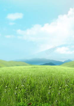 一片绿色的草地原野背景图高清图片