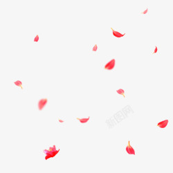 落叶手绘粉红色的落叶蝴蝶漂浮插图元素高清图片