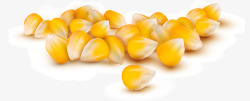 金黄玉米粒手绘玉米粒高清图片