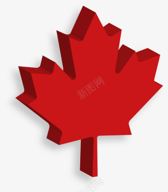 加拿大枫叶图标图标