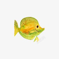 黄色手绘水彩海洋生物鱼类图案素材