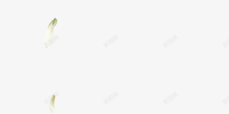 手绘玉兰花枝头花瓣装饰图案png免抠素材_88icon https://88icon.com 免抠PNG 手绘 枝头 洒落花瓣 玉兰花 白色 花瓣 装饰图案 辛夷花