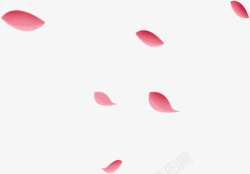 漂浮粉色花瓣桃花瓣素材