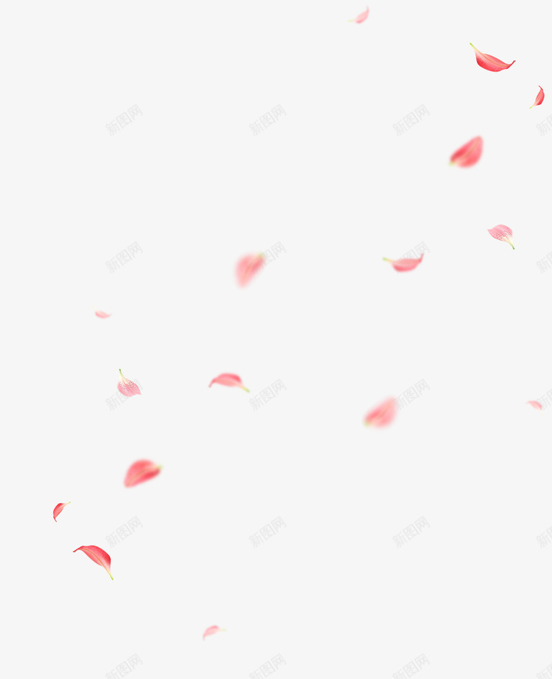 粉色花瓣飘落漂浮png免抠素材_88icon https://88icon.com 一朵朵 免抠PNG 完结撒花 洒落花瓣 漂浮 粉色 花瓣 花瓣掉落 花飘落 飘落