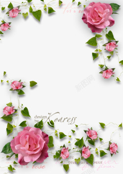 玫瑰花藤框粉色清新玫瑰花花藤边框高清图片