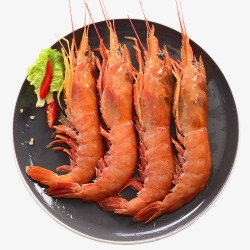 红虾食用大红虾高清图片