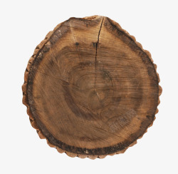 深棕色皮质凸起的木头截面实物素材
