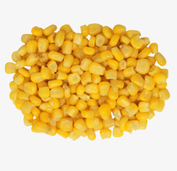 一片金色的玉米粒素材